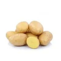 Potato