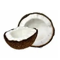 Coconuts