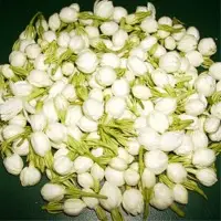 Jasmine Flower