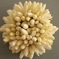 Mullai Flowers