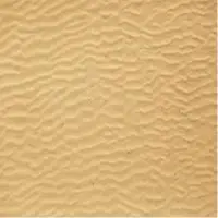 Beach Sand