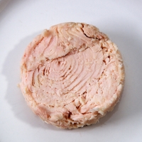 Canned Solid Tuna