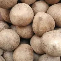 Copra Or Dry Coconut