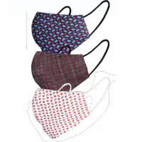Non Surgical Reusable Cloth Mask