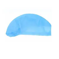 Disposable Cap