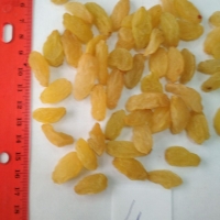 Yellow Califorr Raisins