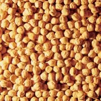 Chickpeas