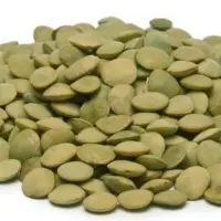 Green Lentils