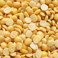 Pulses