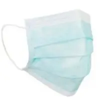Face Mask