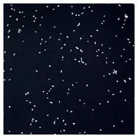 Durafloor Speckle Rubber Flooring