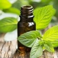 Peppermint Oil