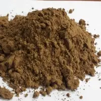 Clove Powder