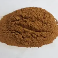 Cinnamon Powder
