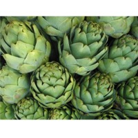 Artichoke