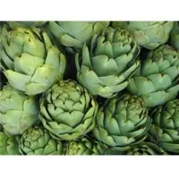 Artichoke