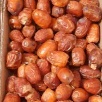 Dates