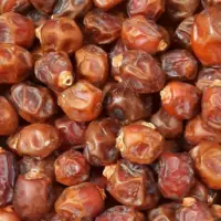 Dates