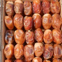 Dates
