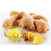 Fresh Organic Ginger