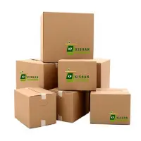 Corrugated Packaging Box