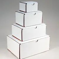 White Duplex Box