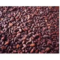 Raw Cocoa Beans