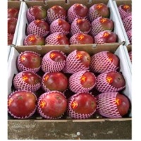 Fresh Mango