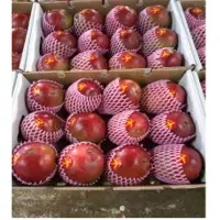 Fresh Mango