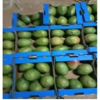 Fresh Mango