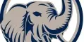 Ivoire Group LLC logo