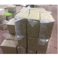 Cashew Nuts