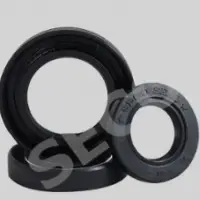 Oil Seal