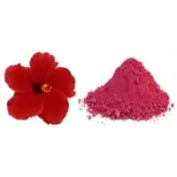 Hibiscus Hair Wash Powder