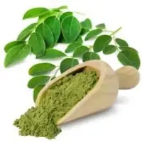 Moringa Leaf Powder (Oleifera)