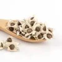Moringa Seeds