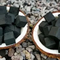 Coconut Shell Briquette