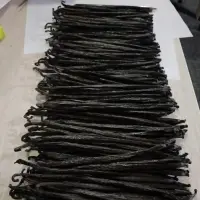 Vanilla Planifolia Beans