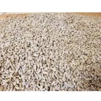 Hulled Sunflower Kernels
