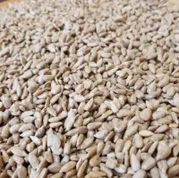 Hulled Sunflower Kernels
