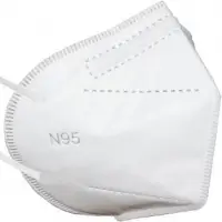N95 Face Mask