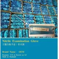 A Level Non-branded (OEM) Nitrile Gloves