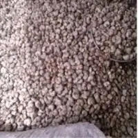 Raw Cashew