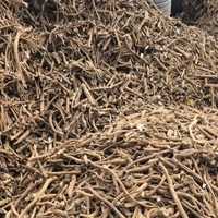 Dried Burdock Root