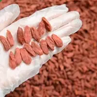 Goji Berry Chinese Wolfberry