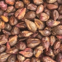 Grapes Seeds