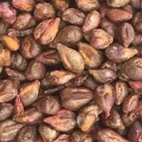 Grapes Seeds