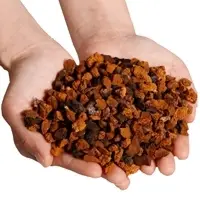Dried Chaga Mushroom Chaga Chunks