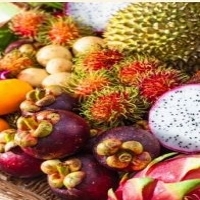 Fruits