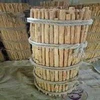 H2 Grade Cinnamon Bales